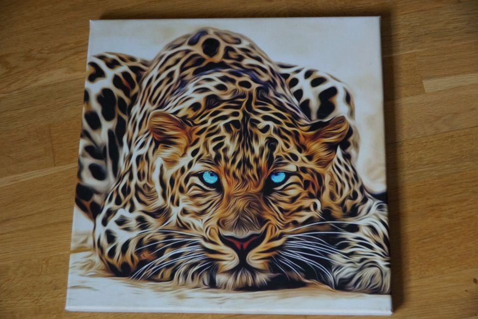 Leopard   Katze Bild in Rosenheim