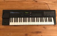 Roland D-20 D20 Synthesizer Keyboard E Piano Hessen - Steinbach Vorschau