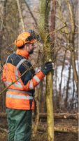 Aufforstungsservice für Waldflächen in Oberfranken! Bayern - Bayreuth Vorschau