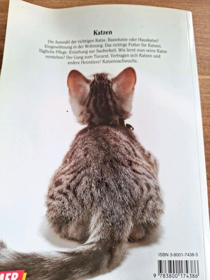 Buch Katzen gut erhalten in Pfaffing