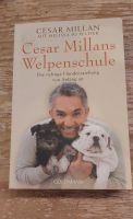 Buch Ratgeber: Cesar Millan Cesar Millans Welpenschule Frankfurt am Main - Bergen-Enkheim Vorschau