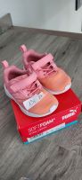 Puma Hallenschuh mit soft foam, Gr.21 Nordrhein-Westfalen - Höxter Vorschau