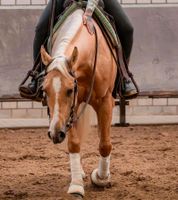 Pflegebeteiligung für liebe Quarter Horse Stute gesucht Nordrhein-Westfalen - Kevelaer Vorschau