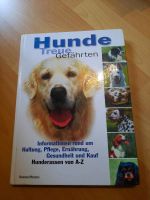 Buch Hunde Haltung Ratgeber Tipps Ernährung Kauf Gesundheit Infos Schleswig-Holstein - Kaltenkirchen Vorschau