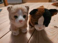 Uni Toys Stofftiere ☆ Hund und Katzen ☆ Kuscheltiere ☆ 12cm ☆ Niedersachsen - Bad Zwischenahn Vorschau