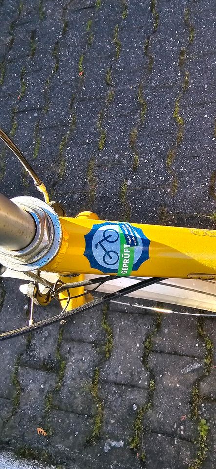 24Zoll Prophete Fahrrad in Neulußheim