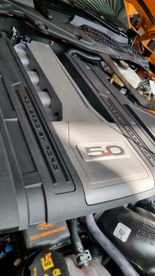 Ford Mustang GT 5.0 V8 ab 2018 Ölwechsel mit Castrol 5w20 in Rüsselsheim