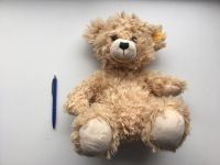 Steiff Knopf im Ohr Teddy Bär Plüsch Figur Original Hessen - Petersberg Vorschau