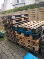 Europaletten Paletten Holz Hochbeet Palettenbett Nordrhein-Westfalen - Erwitte Vorschau