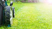 Gartenpflege im ABO, Rasen mähen, Hecke schneiden, Gartenarbeiten Brandenburg - Boitzenburger Land Vorschau