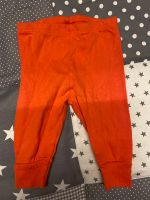 Zara Baby Mädchen Leggings Gr.62 Hessen - Wildeck Vorschau