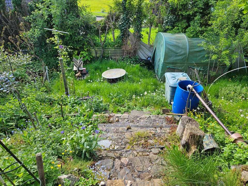 Haus Mobilheim Tinyhouse im Ferienpark Panorama Isselbach in Isselbach