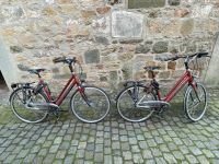 2 neue Gazelle Fahrrad,Misano Damenrad 57er&53er,Goldline,Brooks Nordrhein-Westfalen - Ochtrup Vorschau