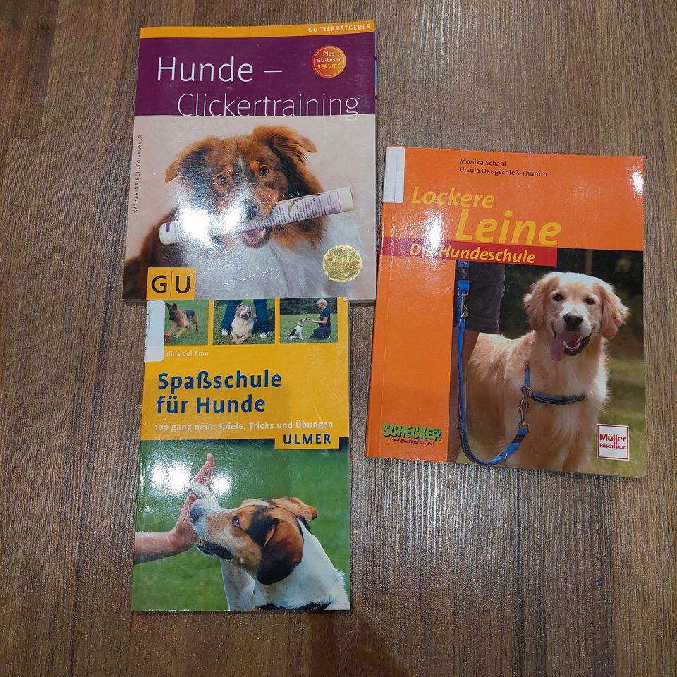 Spaßschule Clickertraining Hundeschule Hunde Training in Pirmasens