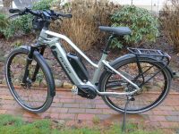 Premium eBike, FLYER Upstreet4 7.10, Bosch CX, 2x500 Wh, ABS !, 1 Schleswig-Holstein - Osterrönfeld Vorschau