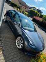 Tesla Model 3 Performance Rheinland-Pfalz - Neuwied Vorschau