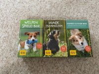 Drei Hunde Trainings-Boxen Niedersachsen - Buchholz in der Nordheide Vorschau