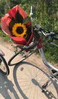 Fahrrad Damen 28 Zoll Nordrhein-Westfalen - Waldbröl Vorschau