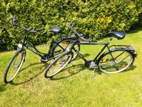 Zwei 28 Zoll Kettler Damen Herren Fahrräder, Alu, Nabenschaltung Dresden - Schönfeld-Weißig Vorschau