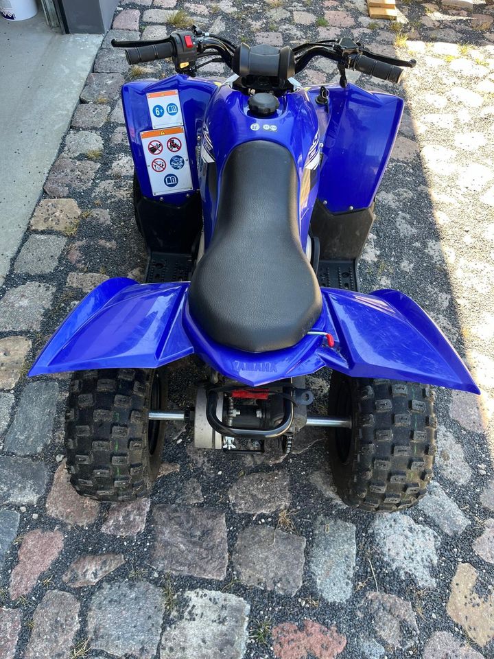 Yamaha YFZ 50 Kinder Quad Modell 2020 in Uckerland