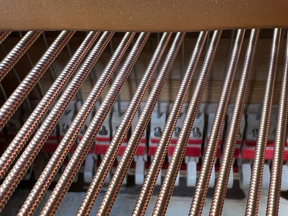 Steinway & Sons B-211 , exzellent,renoviert in Ahrensburg