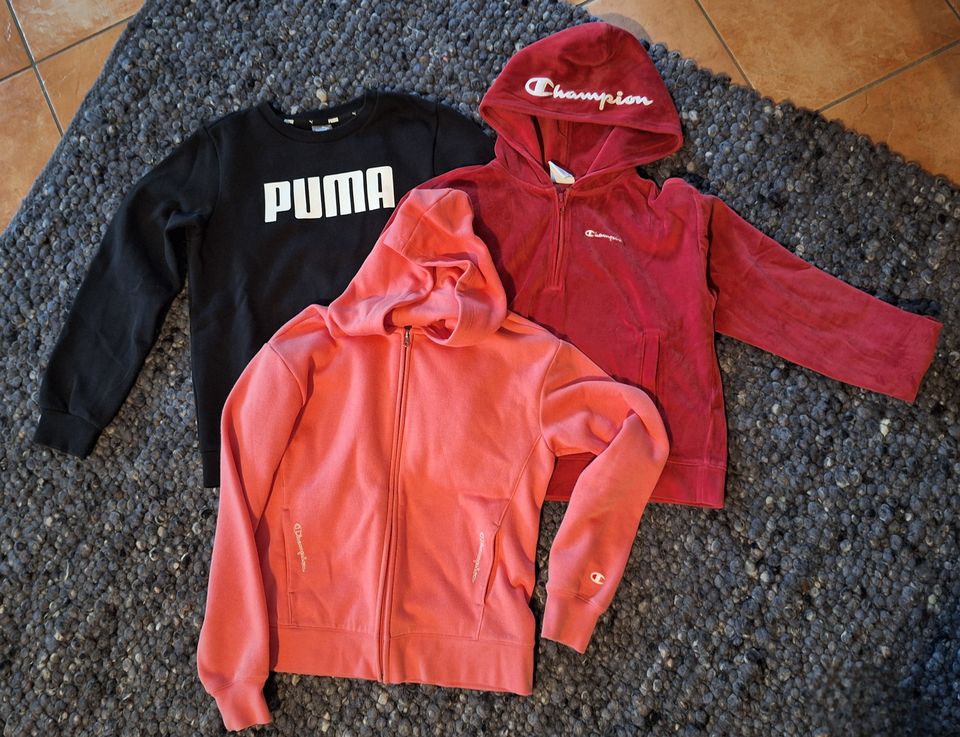 3 Oberteile 152 Champion Puma Hoodie Sweatjacke in Aschaffenburg