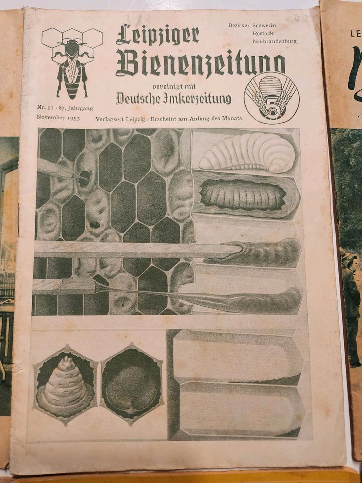 Alte Bienenzeitung u. Imkerzeitung in Ziethen