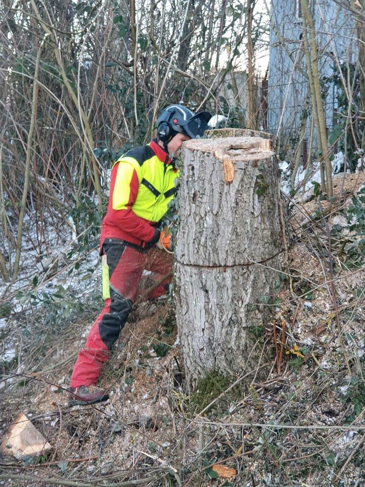 BaumFloh - Baumpflege und Baumfällungen # Baum Fällen & Schneiden in Lenzkirch