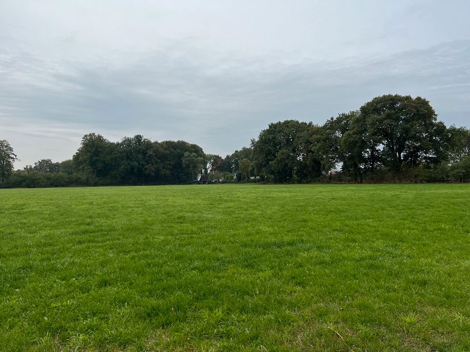 Bauen im Cuxland: Freie Grundstücke im Neubaugebiet Lunestedt "Köpenweg II" in Lunestedt