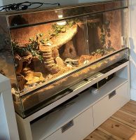 Terrarium 120x60x60 Brandenburg - Werneuchen Vorschau