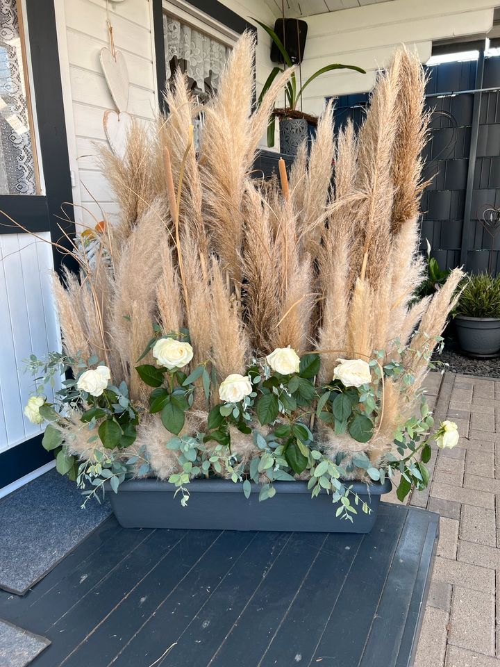 Pampasgras Eukalyptus Hochzeit XXL Deko Boho getrocknet Blumen in Reichelsheim (Wetterau)
