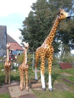 Giraffe Lebensgroß 3,20 m Gartenfigur Eyecatcher Niedersachsen - Varel Vorschau