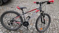 Gebrauchtes 26 Zoll Fahrrad Sachsen - Stolpen Vorschau