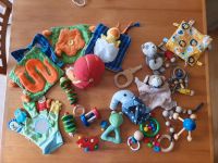 Babyspielzeug set konvolut karton selecta haba spielzeug Sammlung Brandenburg - Schulzendorf bei Eichwalde Vorschau