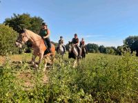 Reitunterricht auf Verlasspferden Brandenburg - Potsdam Vorschau