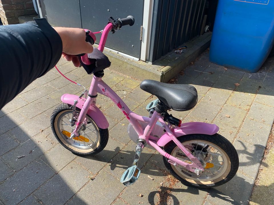 Mädchenfahrrad 12 Zoll Rosa in Kayhude