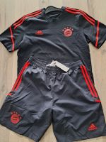 Adidas FC Bayern München T-Shirt + Short Gr.L NEU Saarland - Wallerfangen Vorschau