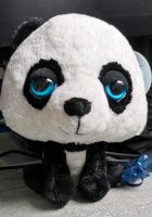 Plüsch Panda Bär mit großen blauen Augen Hessen - Guxhagen Vorschau