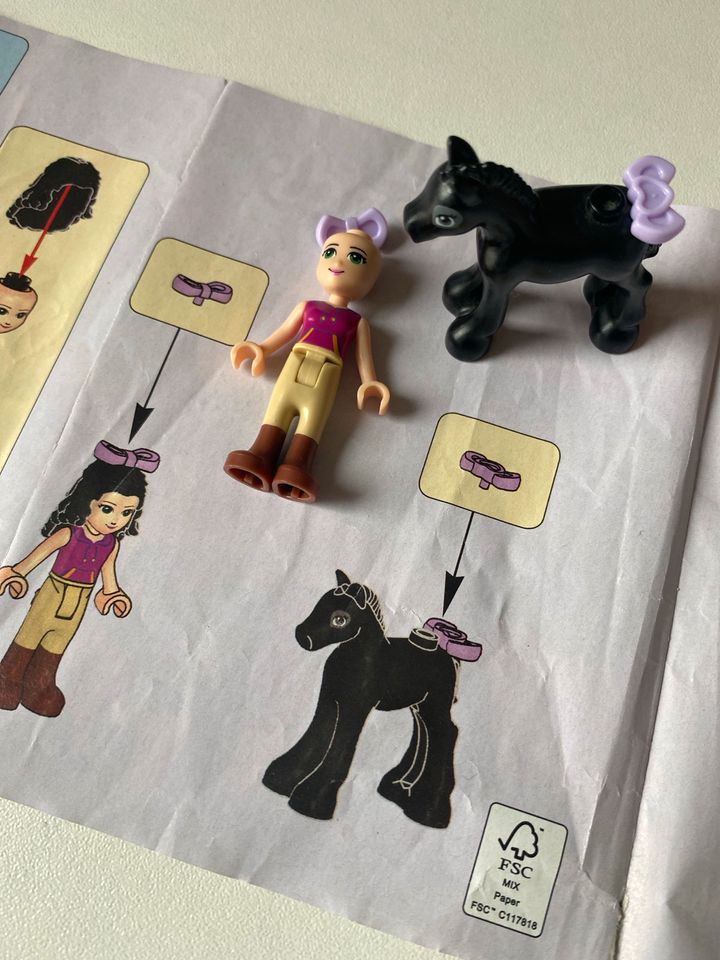 Lego Friends Emmas Waschhäuschen mit Fohlen in Holzwickede