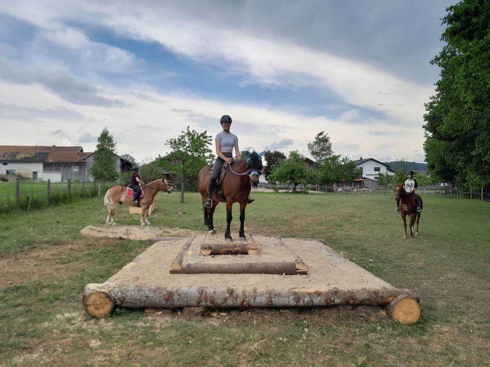 EXTREME TRAIL, Training f. Pferde & Mensch, Horsemenship 08.06. in Eschlkam