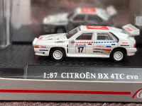 Makette Citroen BX 4TC Evo Evolution WRC Rallye 1:87 8002 Bayern - Plattling Vorschau
