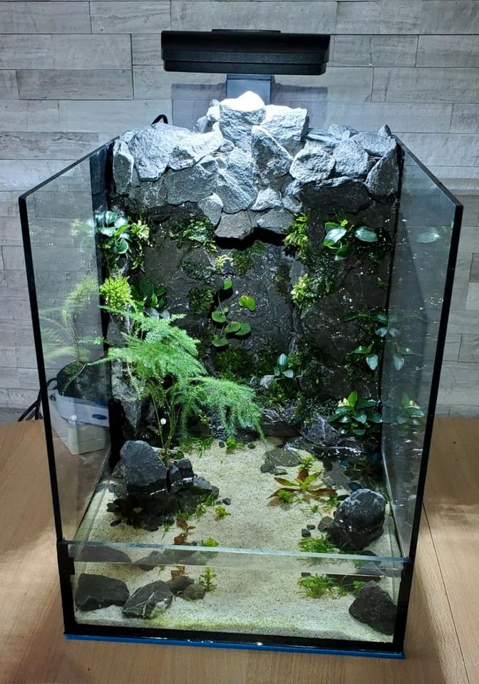 Paludarium Aquarium Terrarium in Hannover