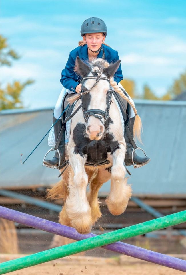 Reitbeteiligungen auf unseren braven Pferden und Ponys in Wachtendonk