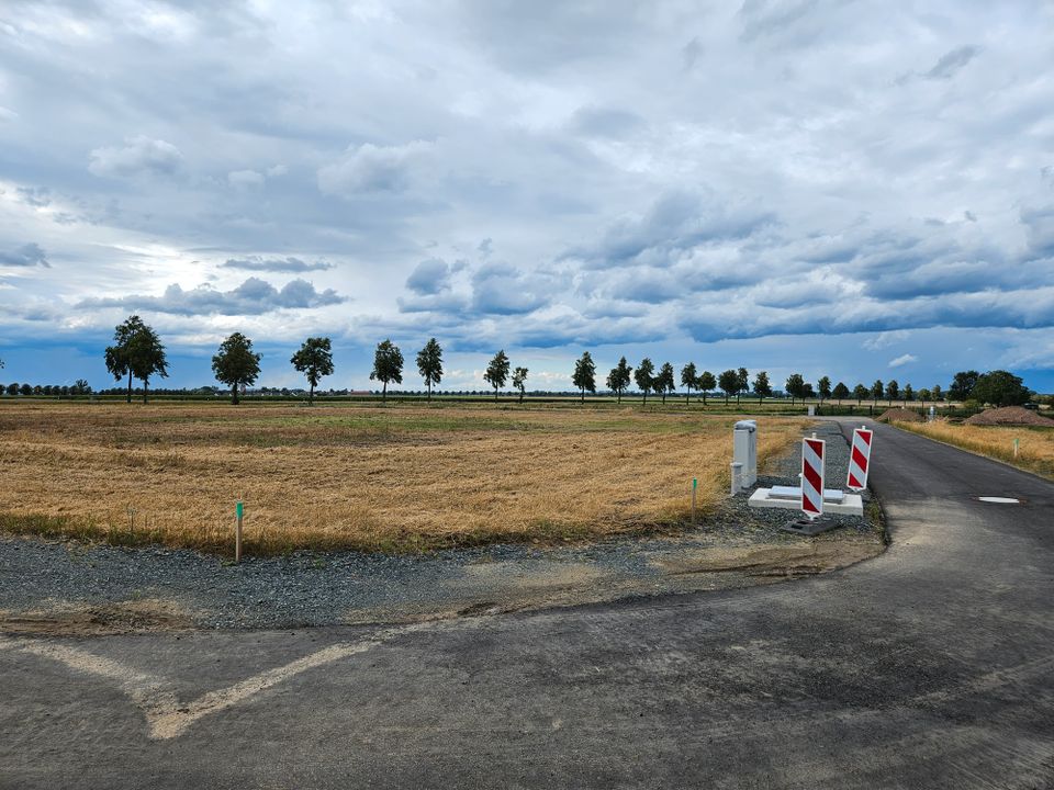 Inkl. Grundstück, ein Bungalow, der begeistert in Ottbergen. in Schellerten