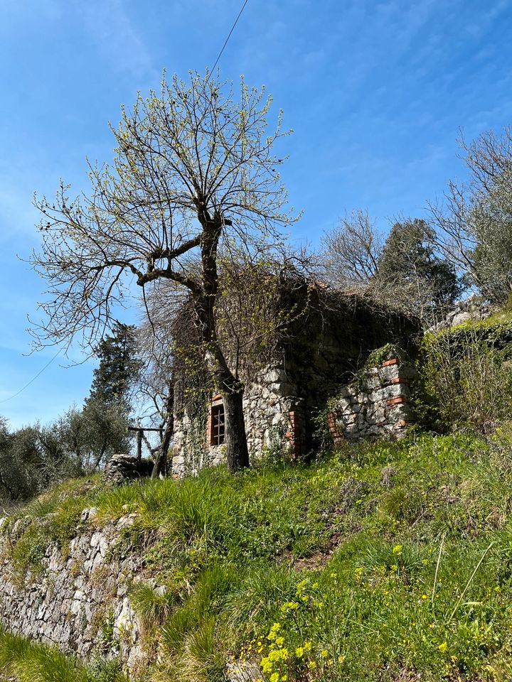 Ferienhaus / Haus/ Rustico in der Toskana zu kaufen gesucht ‼️ in Gießen