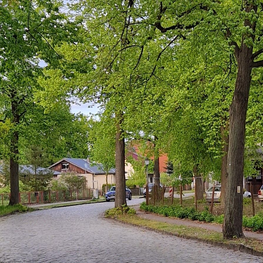 Traumhafte Grundstücke in Bestensee in Pätz