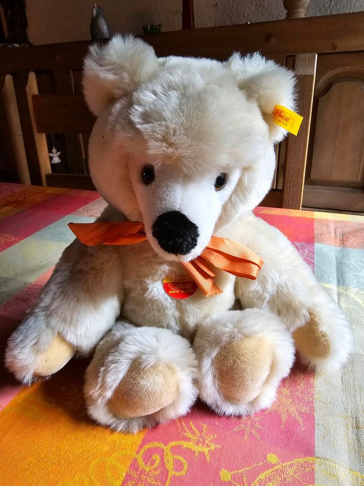 Steiff Teddybär Bär Molly wie neu! in Wertheim