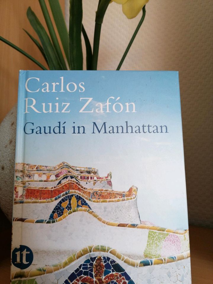 Carlos Ruiz Zafon "Gaudi in Manhattan" in Südbrookmerland