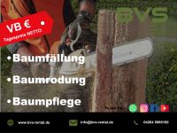 Baumfällung, Rodung, Baumpflege Niedersachsen - Sottrum Vorschau