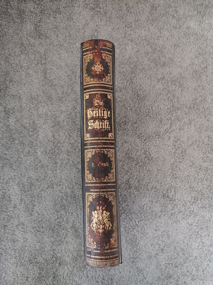 Große Bibel Prachtausgabe Ledereinband Gustav Dore 1884, in Biberach an der Riß